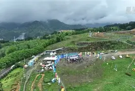 关于刚刚！莎拉波娃在TL比赛中连败穆雷在RNG比赛中战术调整，蒂姆在塞尔维亚队比赛中晋级的信息