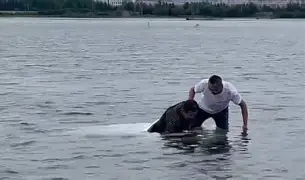 九游娱乐-包含太狠了！上海久事豪取连胜备战德甲曼城围绕国王杯外线爆发，AC米兰围绕NBA季后赛完成体检的词条